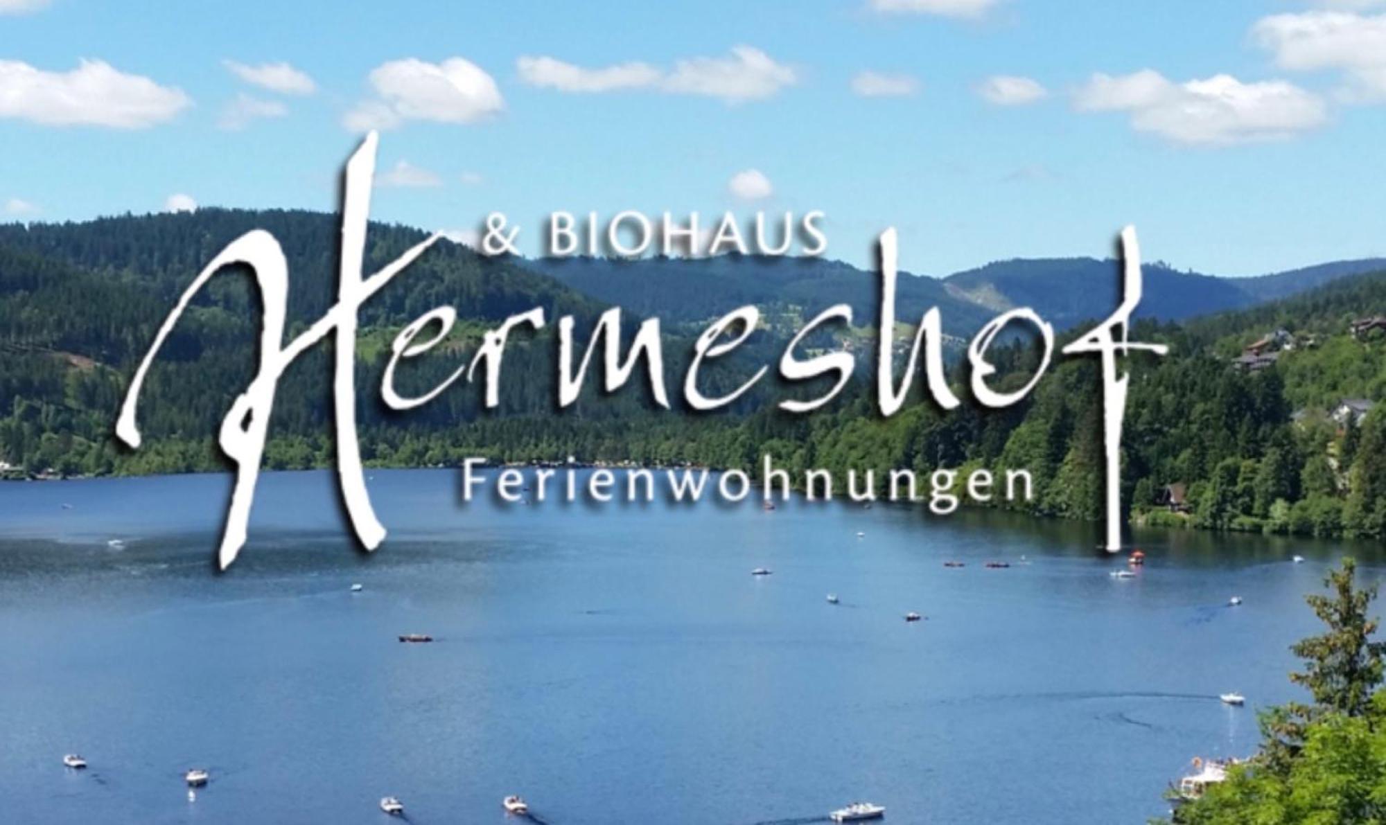 Hermeshof Und Biohaus ティティゼー・ノイシュタット エクステリア 写真