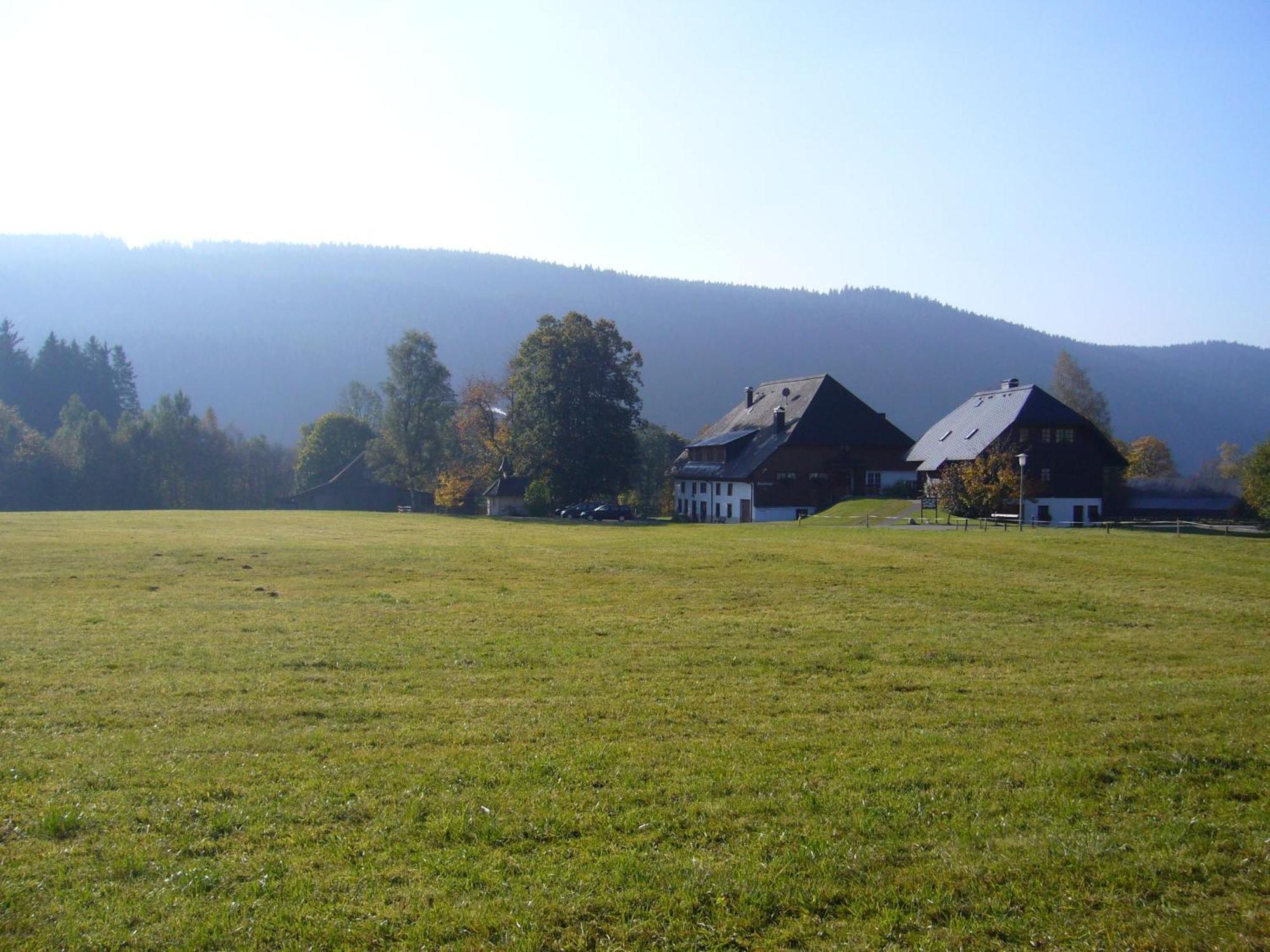 Hermeshof Und Biohaus ティティゼー・ノイシュタット エクステリア 写真