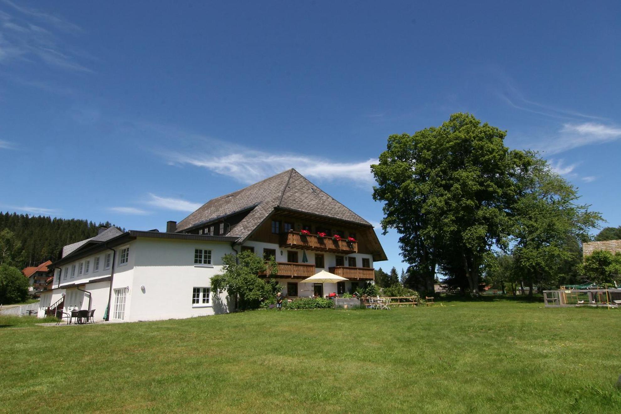 Hermeshof Und Biohaus ティティゼー・ノイシュタット エクステリア 写真